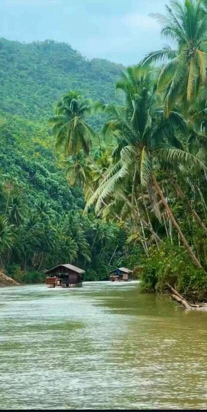 Bohol: Guided Chocolate Hills & Tarsiers Tour - The Loboc River cruise adds food, music, and scenery