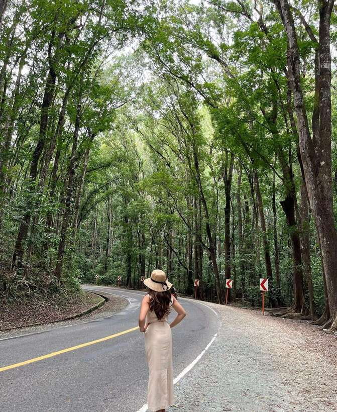 Bohol: Guided Chocolate Hills & Tarsiers Tour - The Man-Made Forest begins the countryside drive