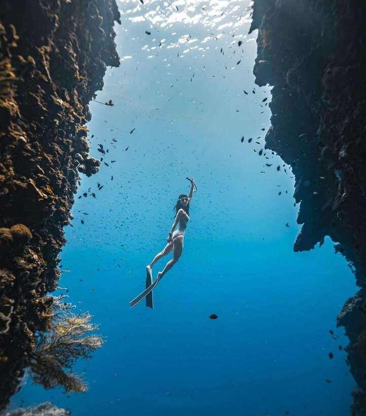 Bohol: Guided Sardine Reef Snorkeling Experience - Why Panglao’s sardine reef is worth your time