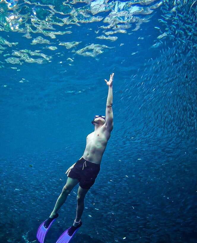 Bohol: Guided Sardine Reef Snorkeling Experience - Crowds, calm water, and the small-group promise