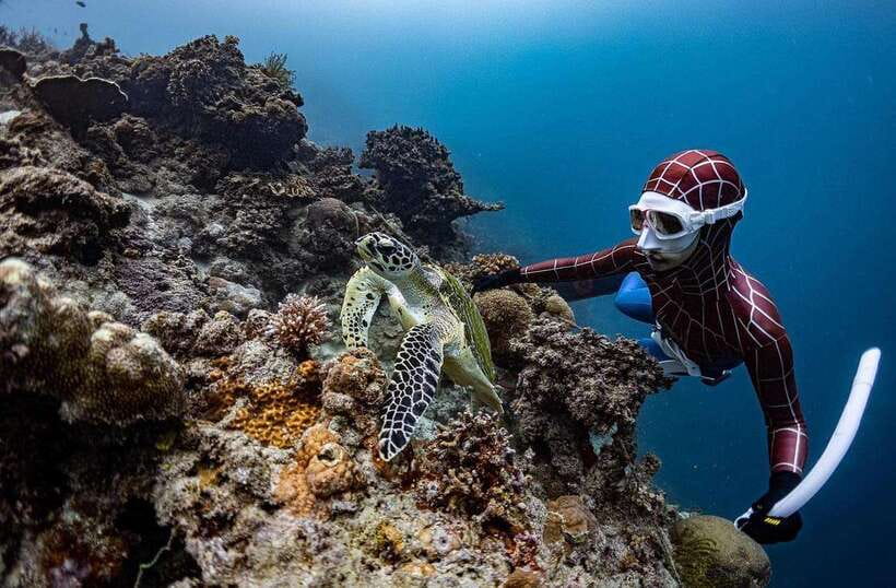 Bohol: Guided Sardine Reef Snorkeling Experience - Photos and videos with your own camera