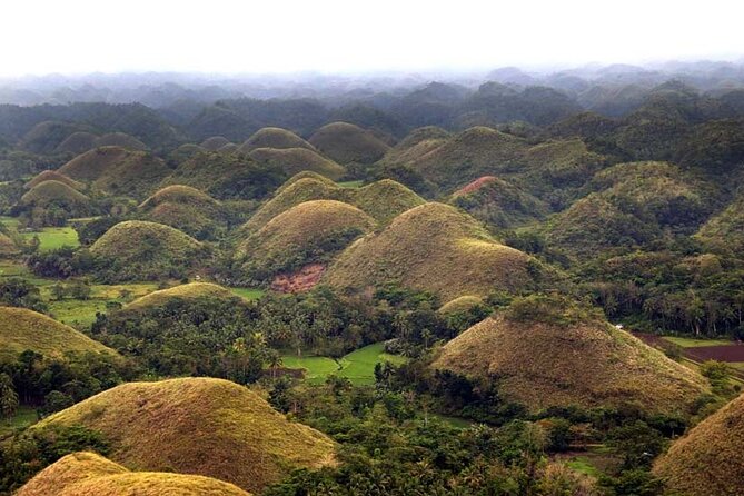 Bohol Highlights Tour: Chocolate Hills, Tarsier Spotting and Loboc River Cruise - Why this Bohol day trip works