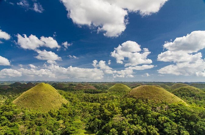 Bohol Highlights Tour: Chocolate Hills, Tarsier Spotting and Loboc River Cruise - Butterflies and a glimpse of the Chocolate Hills