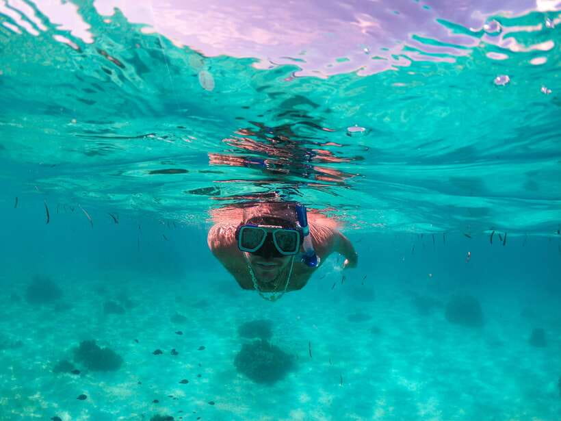 Bohol: Pamilacan Island Dolphin/Turtle Watching Tour & Lunch - Starting at Abraham Bohol Before Sunrise