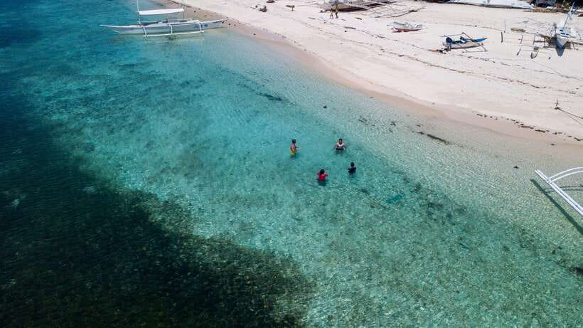 Bohol: Pamilacan Island Dolphin/Turtle Watching Tour & Lunch - FAQ