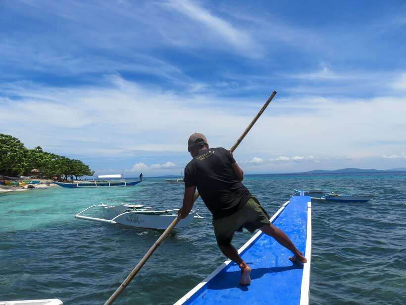 Bohol: Pamilacan Island Dolphin/Turtle Watching Tour & Lunch - Searching the Bohol Sea for Dolphins