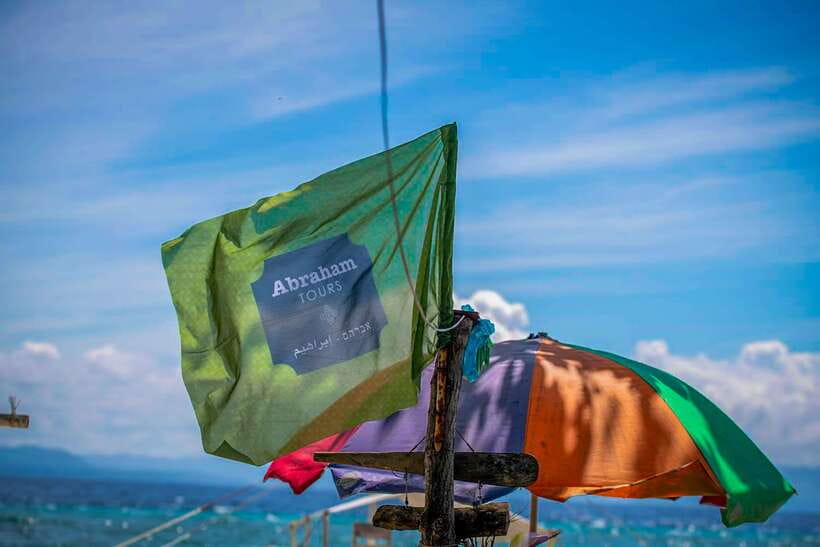 Bohol: Pamilacan Island Dolphin/Turtle Watching Tour & Lunch - What the $70 Price Covers