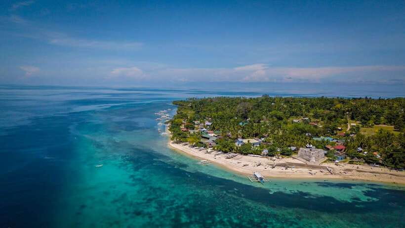 Bohol: Pamilacan Island Dolphin/Turtle Watching Tour & Lunch - Who Will Enjoy This Bohol Day Trip Most