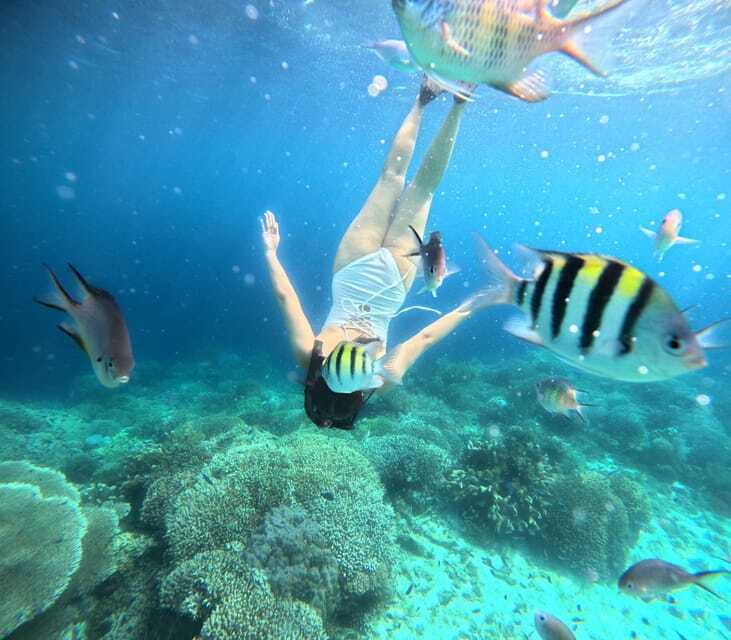 Bohol: Panglao Island Hopping Tour with Snorkeling (Private) - Tips for making the morning work better