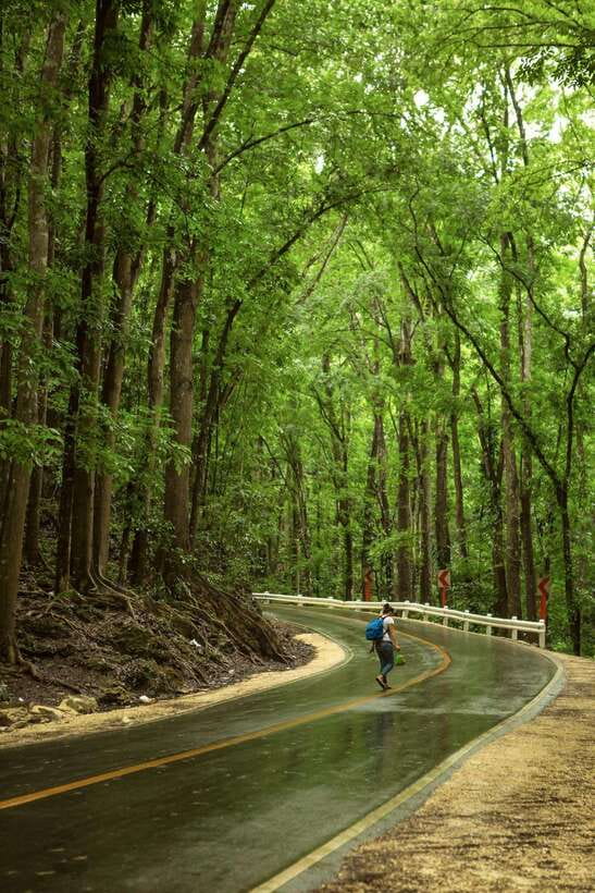 Bohol: Premium Chocolate Hills, Tarsiers & River Experience - Why this Bohol day trip works so well