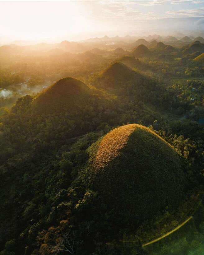 Bohol: Premium Chocolate Hills, Tarsiers & River Experience - Loboc River cruise and the ₱950 decision