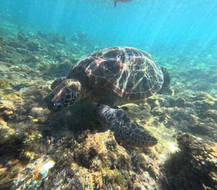 Bohol PREMIUM PAMILACAN Island Tour - Is $114 per person a fair price?