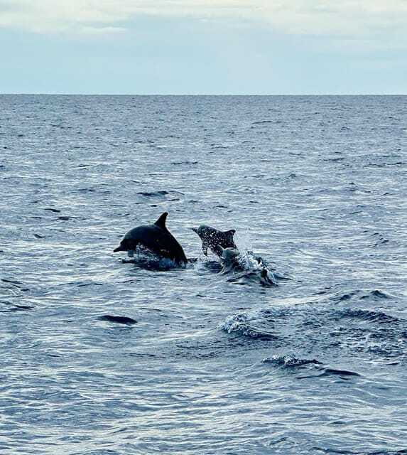 Bohol PREMIUM PAMILACAN Island Tour - Who will enjoy this tour most?