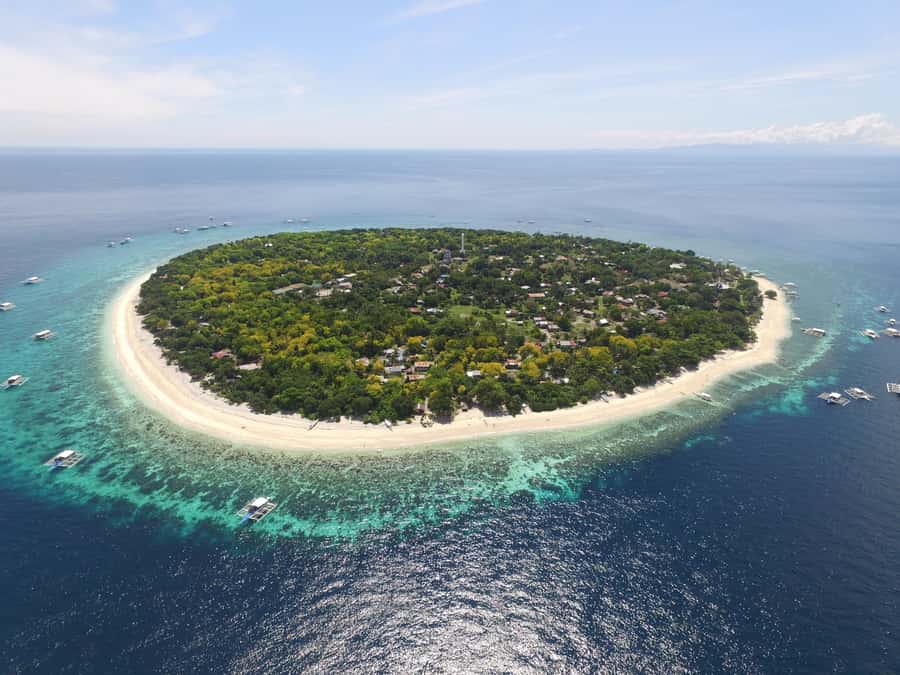 Bohol: Private Balicasag Tour with extra snorkeling time - The dolphin search at sunrise
