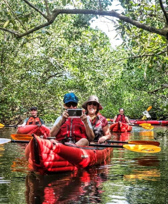 Bohol: SUSTAINABLE Mangrove Tunnels & Firefly Kayaking trail - Key points at a glance