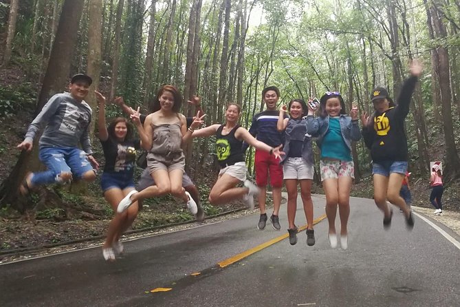 BOHOL Tour 2026 - Chocolate Hills, Tarsier and River Cruise Lunch - Three famous Bohol sights in one long day