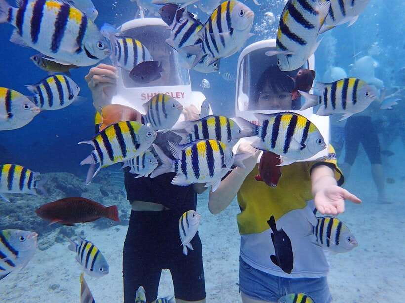 Boracay: Aquanaut Adventure with Photos and Videos - Key points to know before booking