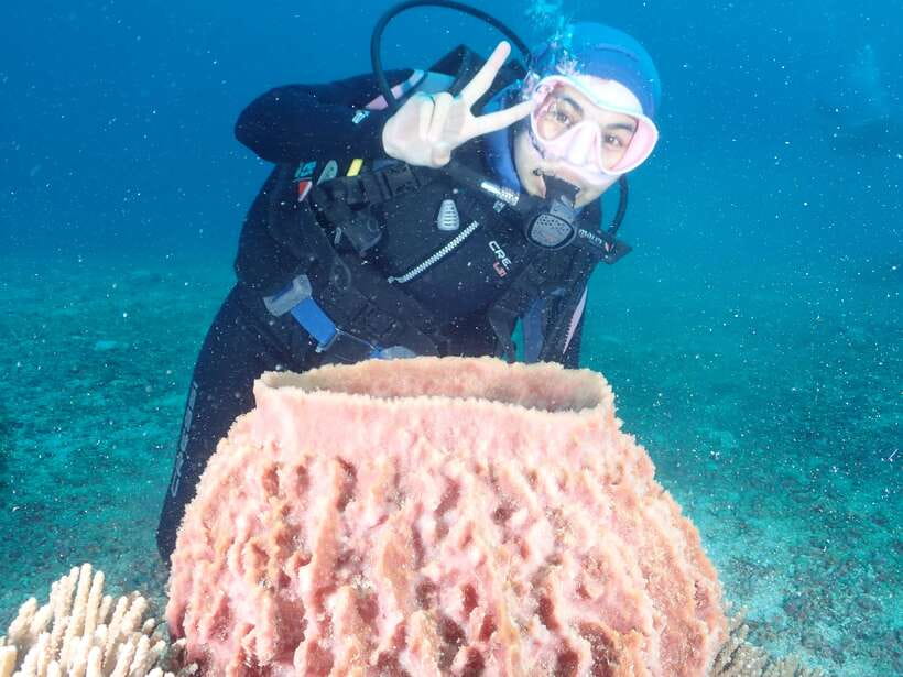 Boracay: Introduction to Scuba Diving Experience - Key points to know before booking