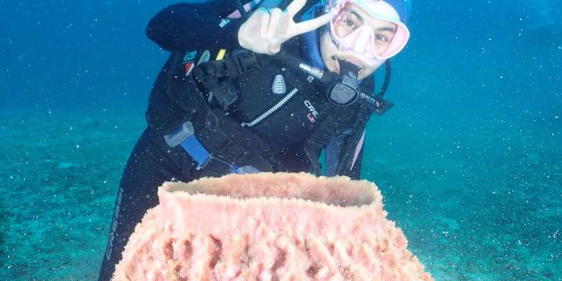 Boracay: Introduction to Scuba Diving Experience - Photos, videos, and the completion certificate
