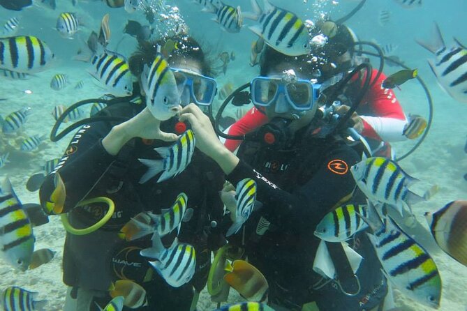Boracay PADI Discover Scuba Diving - Meeting at Astoria Boracay Boat Station 1