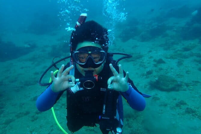 Boracay Private Island Hopping Premium with Lunch - Who will get the most from this four-hour trip?