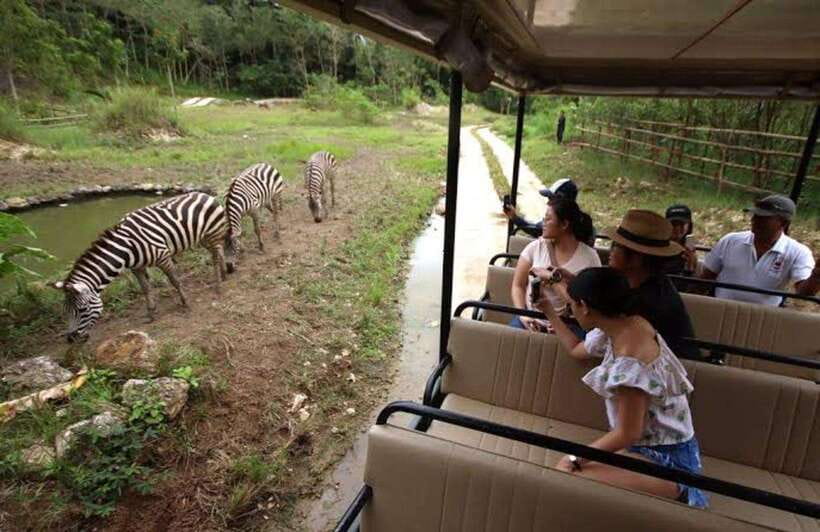 Cebu:Cebu Safari Adventure Park Day Trip - Is $97 Per Person Good Value?