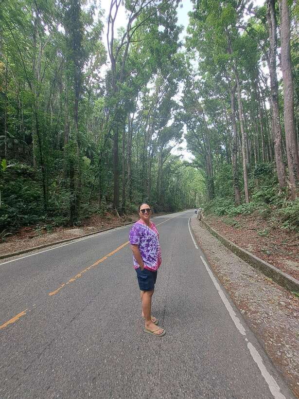 Cebu City: Bohol Countryside Tour with Loboc Cruise Lunch - The Chocolate Hills viewpoint