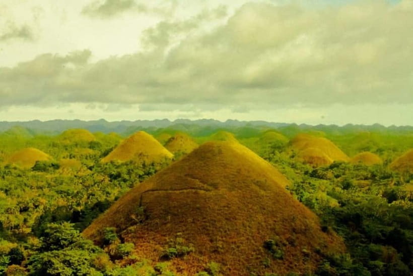 Cebu City: Bohol Countryside Tour with River Cruise Lunch - Tarsier Sanctuary and Bohol’s smallest primate
