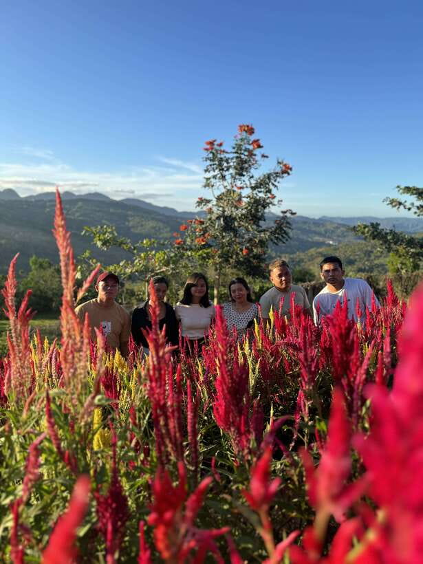 Cebu: City Highlights with Sirao Flower Garden Visit - Key details before you book
