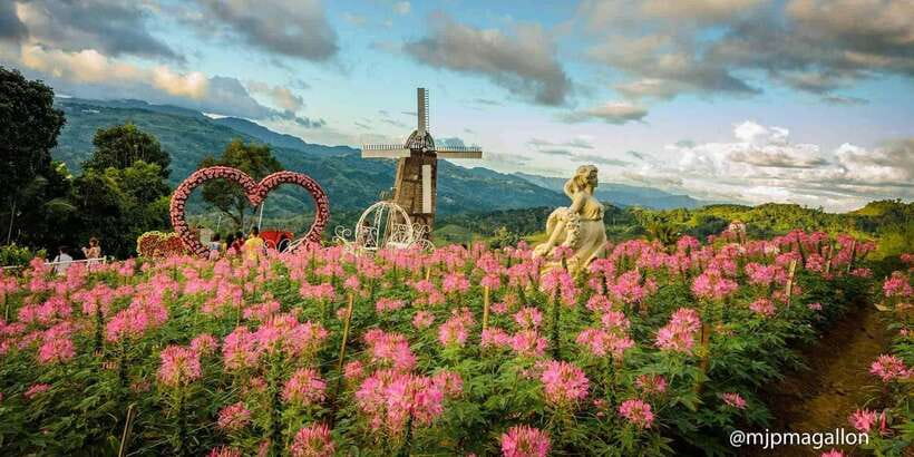 Cebu City: Historical, Local Cuisine & Mountain Guided Tour - Chixboy Mountain Restaurant and the food question