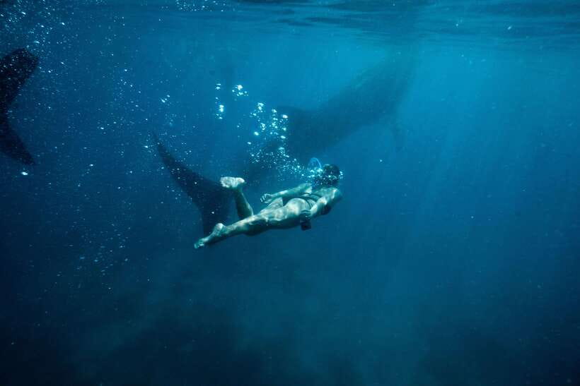 Cebu City: Whale Shark Swimming & Kawasan Falls Canyoneering - Why this Cebu day trip is worth considering