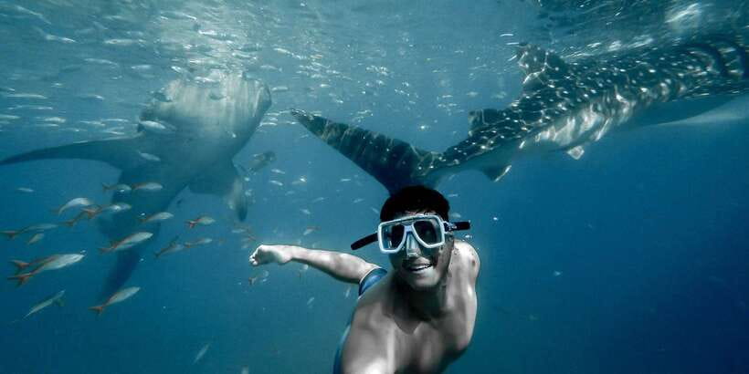 Cebu City: Whale Shark Swimming & Kawasan Falls Canyoneering - The zipline is a useful add-on