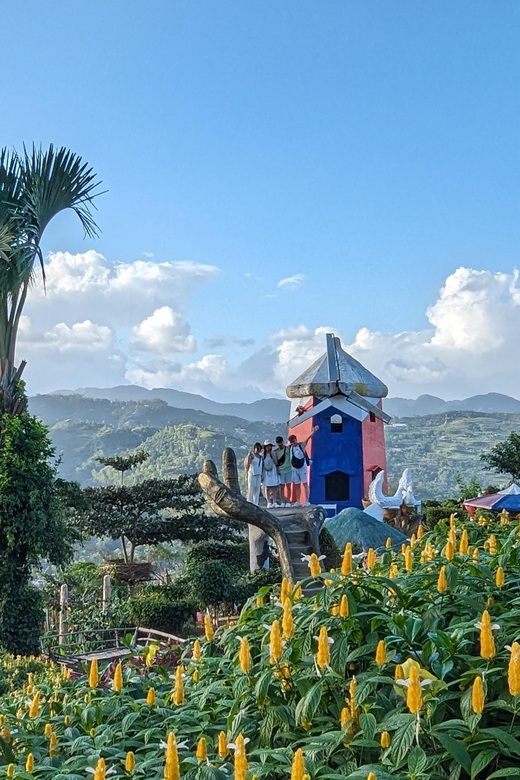 Cebu City with Sirao Garden Half Day Tour - Who Will Get the Most from This Tour