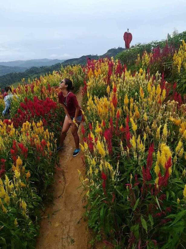Cebu Highlands: Half-Day Escape with Optional Lunch - Cebu roads can shape the whole day