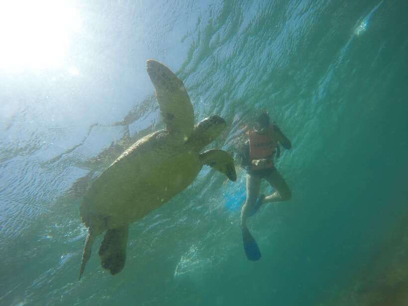 Cebu: Kawasan Canyoneering & Sardines Run and Turtle Chase - The early van ride from Cebu City