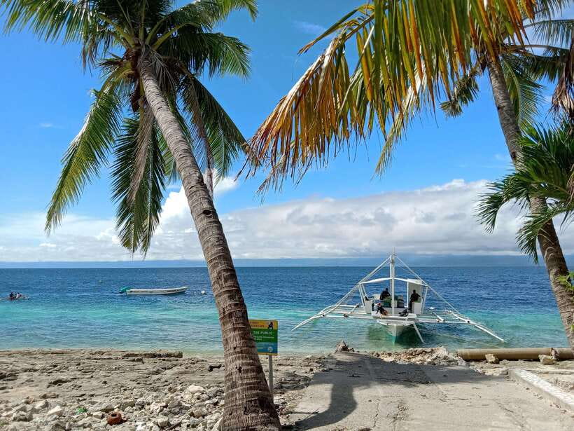 Cebu: Kawasan Canyoning, Moalboal Snorkeling, & Turtles Tour - Is $142 a fair price?