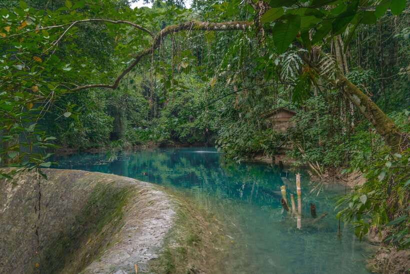 Cebu: Kawasan Falls Canyoneering & Cliff Jump Private Tour - Cliff jumps, rappelling, and your own comfort level