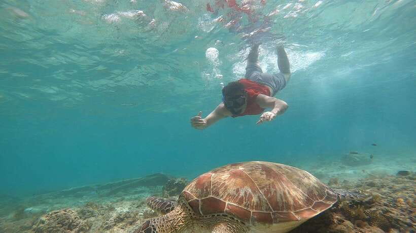 Cebu: Moalboal Island Hopping and Mantayupan Falls Day Trip - Pickup areas and timing