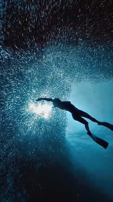 Cebu: Moalboal Sardine Run & Kawasan Falls Canyoneering - The long ride south from Cebu