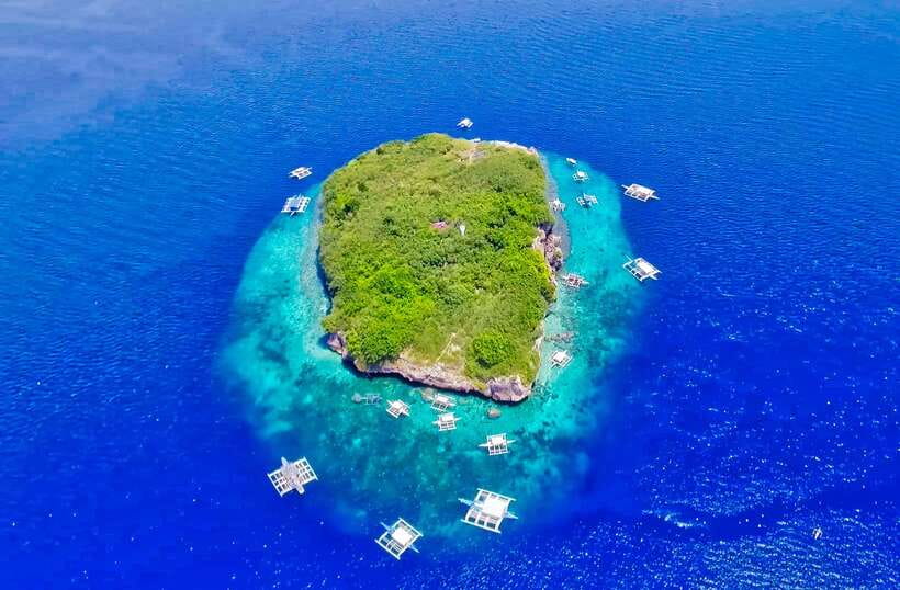 Cebu: Moalboal Sardines and Turtles Snorkeling Tour - Why Moalboal’s sardines are worth the trip
