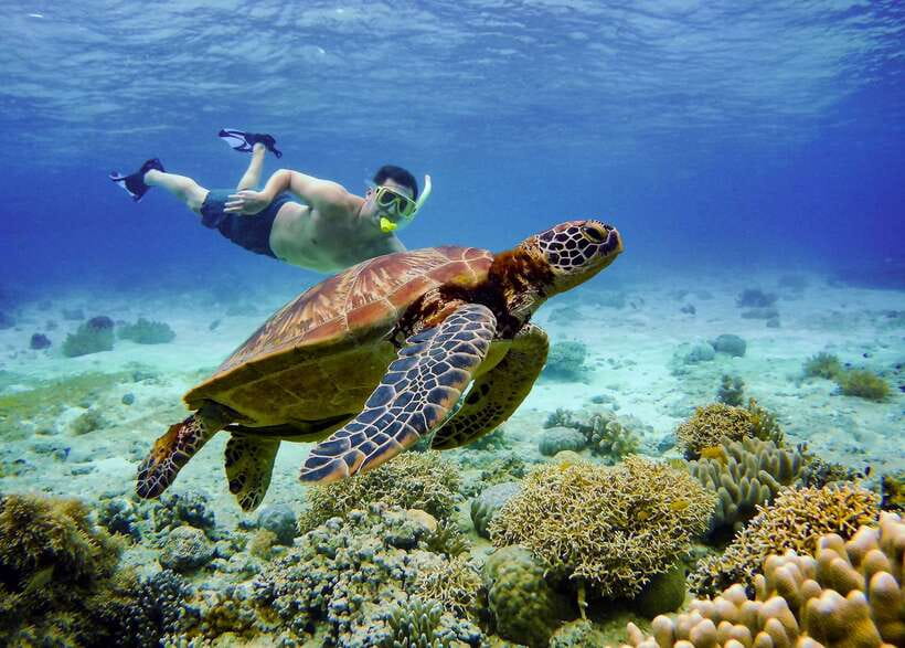 Cebu: Moalboal Sardines and Turtles Snorkeling Tour - Breakfast is a stop, not an included meal