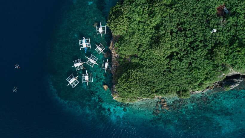 Cebu: Moalboal Sardines and Turtles Snorkeling Tour - Talisay Point and the search for sea turtles