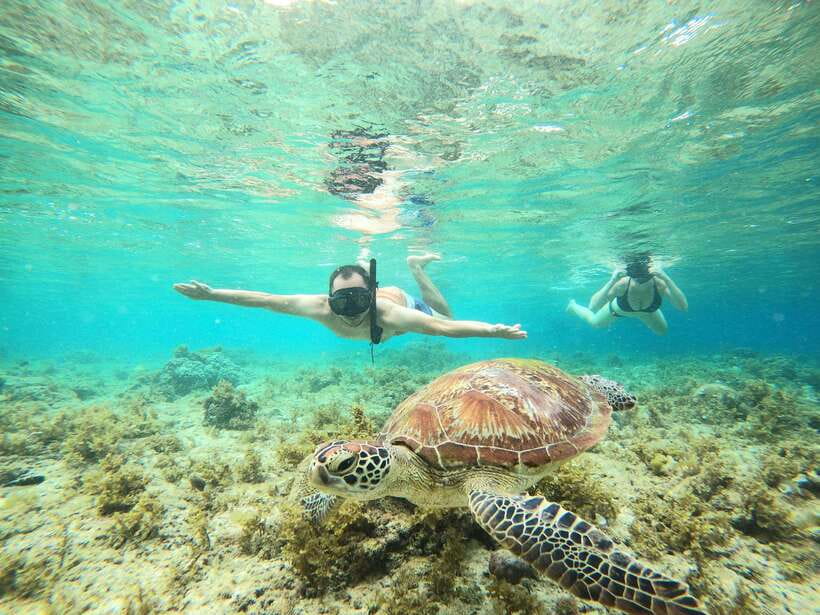 Cebu: Moalboal Sardines Run Snorkel & Kawasan Canyoneering - What the Moalboal stop feels like in practice