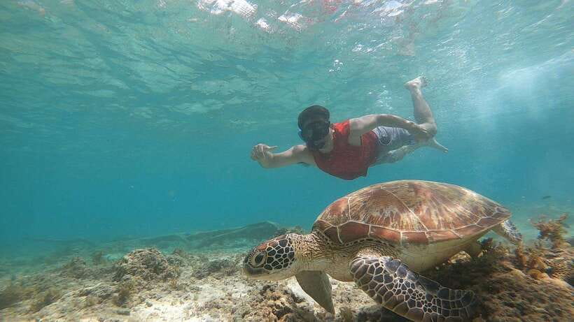 Cebu: Moalboal Sardines Run Snorkel & Kawasan Canyoneering - Shoes, zipline, and the small extras that matter