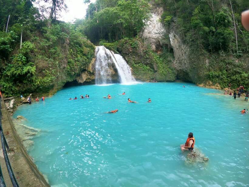 Cebu: Moalboal Sardines Run Snorkel & Kawasan Canyoneering - The turtle search adds a welcome sense of discovery