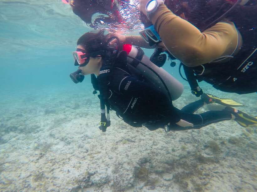 Cebu: Moalboal Scuba Diving with Sardines and Turtle Snorkel - How to prepare for a better day