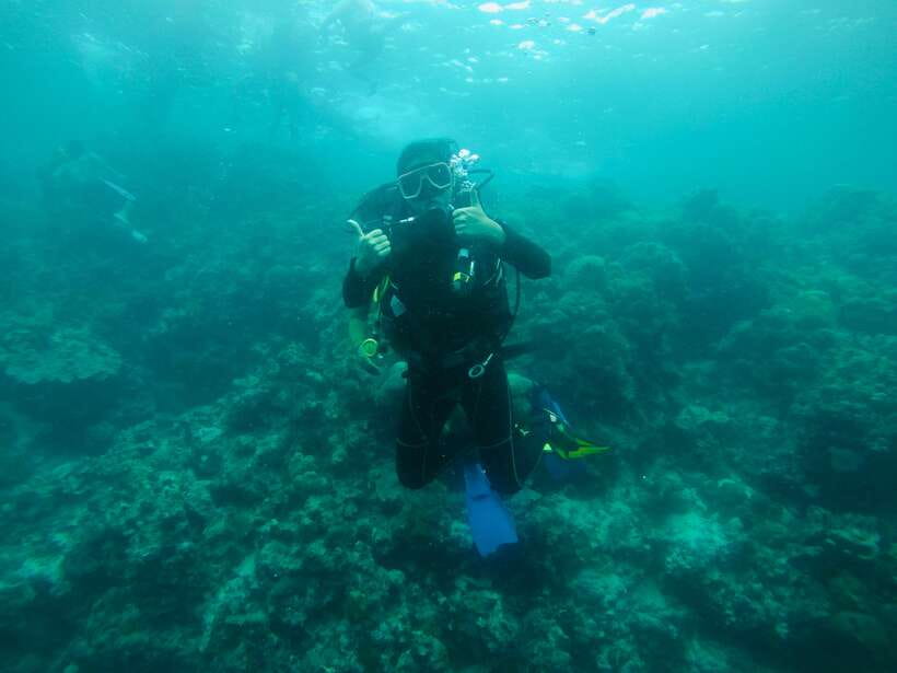 Cebu: Moalboal Scuba Diving with Sardines and Turtle Snorkel - Should you book the Moalboal sardine and turtle trip?