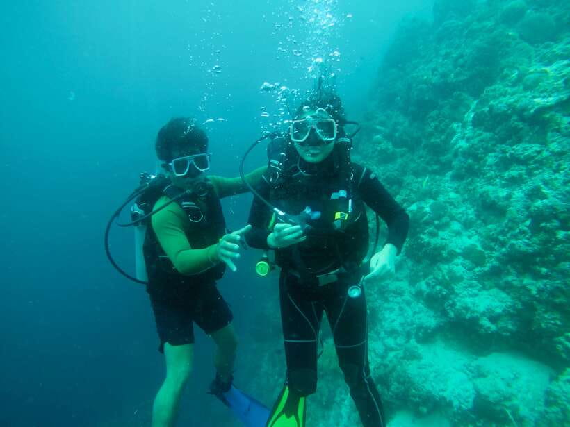 Cebu: Moalboal Scuba Diving with Sardines and Turtle Snorkel - What the first part of the 11-hour day feels like