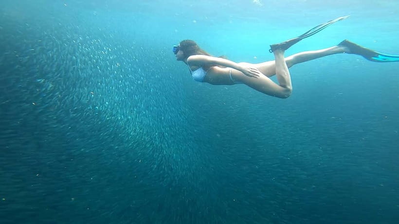 Cebu: Moalboal Snorkeling, Mantayupan Falls & ATV Adventure - Who should book this day?