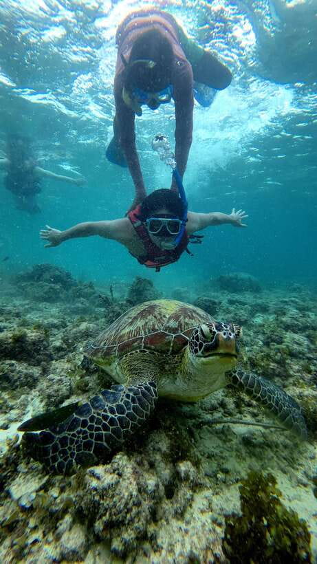 Cebu: Moalboal Snorkeling, Mantayupan Falls & ATV Adventure - Mantayupan Falls and the swimming question